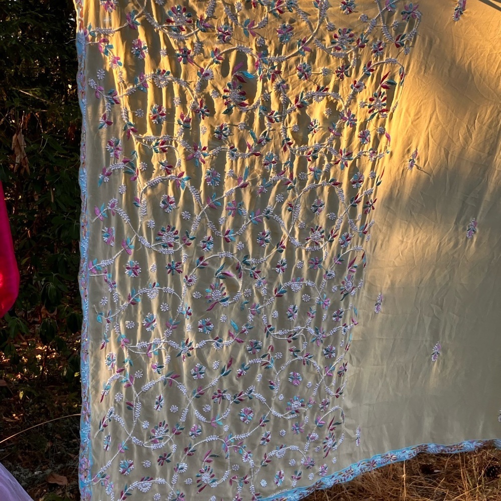 India wrap with border, embroidered front panel, lots of fabric for saree - Picture 2 of 6